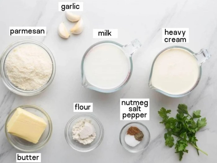 Alfredo sauce ingredients recipe