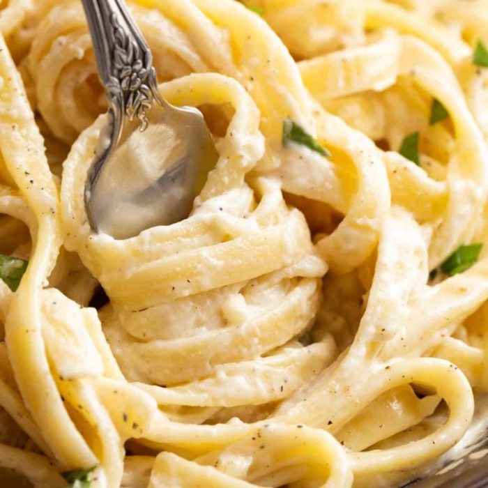 Alfredo recipe iwashyoudry reheating