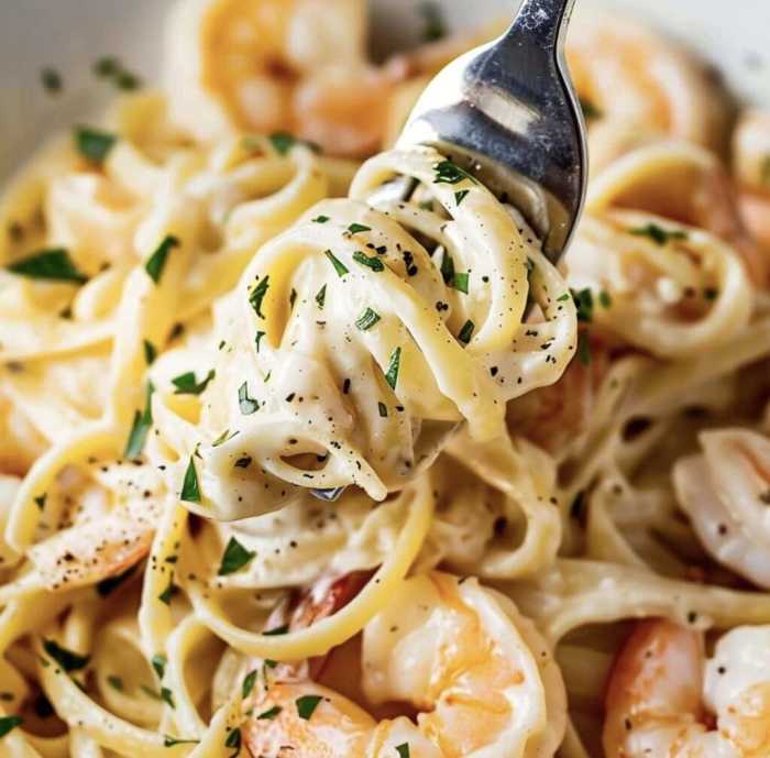 Alfredo sauce shrimp and pasta recipe