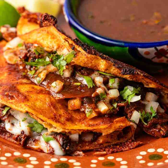 Birria tacos dipping sauce recipe