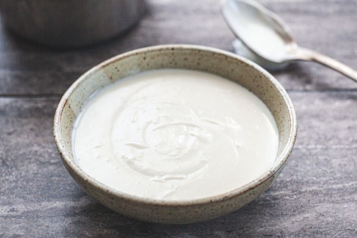 Vegan sauce béchamel white bechamel