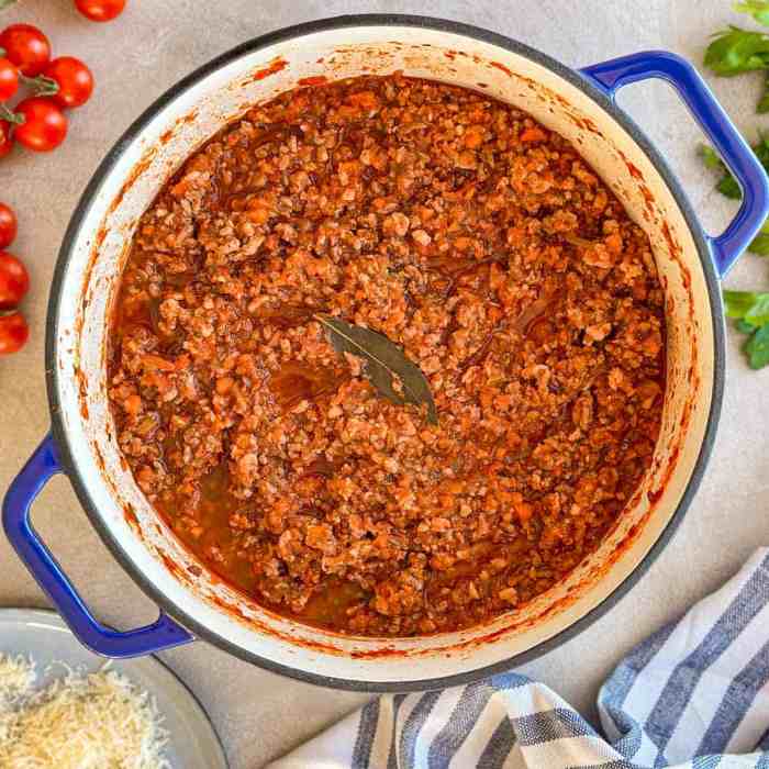 Best italian meat sauce recipe