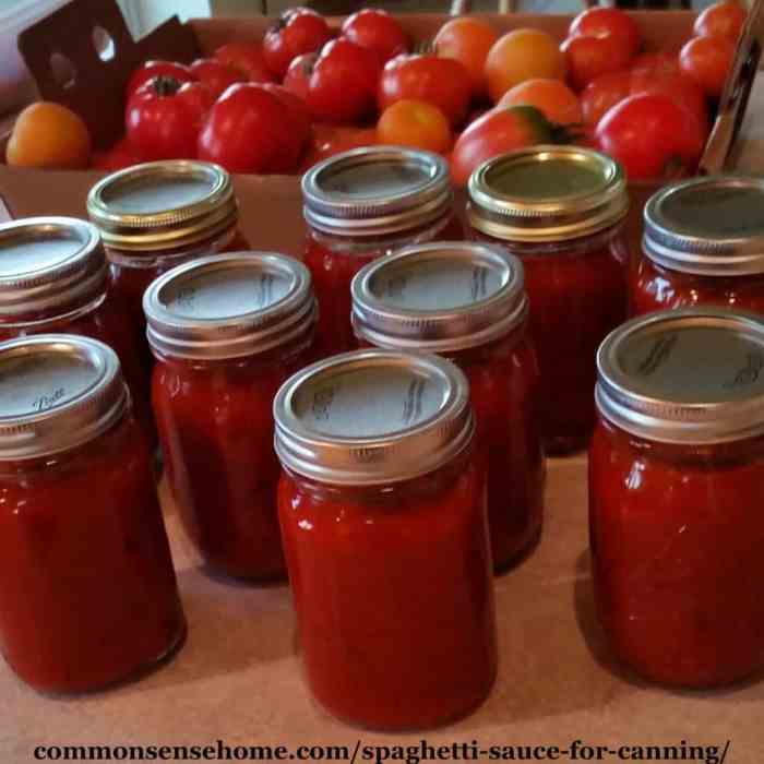 Ball canning tomato sauce recipe