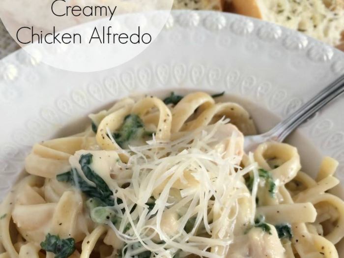 Bertolli garlic alfredo sauce recipes