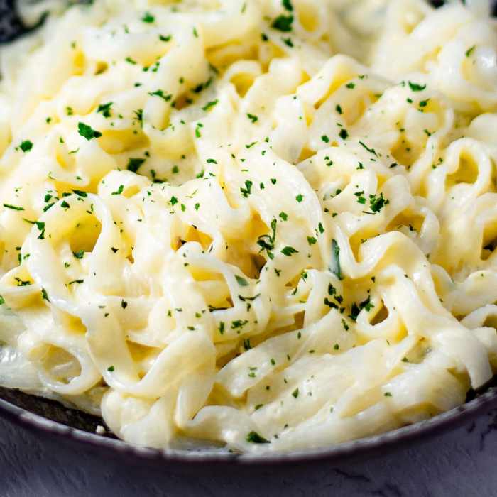 Alfredo Sauce Recipe Keto A Creamy Ketogenic Delight